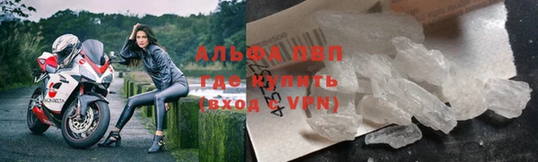 PSILOCYBIN Бородино