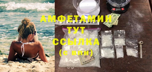 гашик Верея