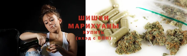 PSILOCYBIN Бородино