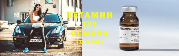 PSILOCYBIN Бородино