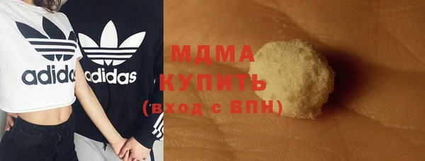 PSILOCYBIN Бородино