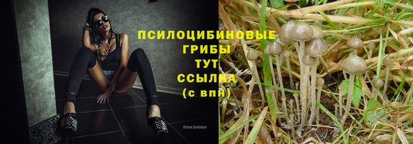 гашик Верея