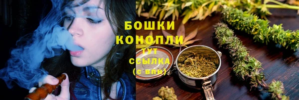 PSILOCYBIN Бородино
