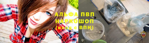 стаф Бронницы