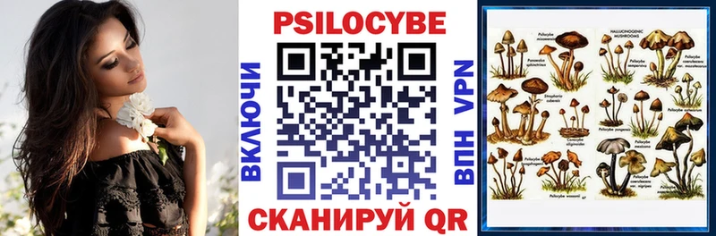 Галлюциногенные грибы Cubensis  Сретенск 