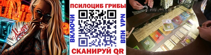 Галлюциногенные грибы Cubensis Сретенск